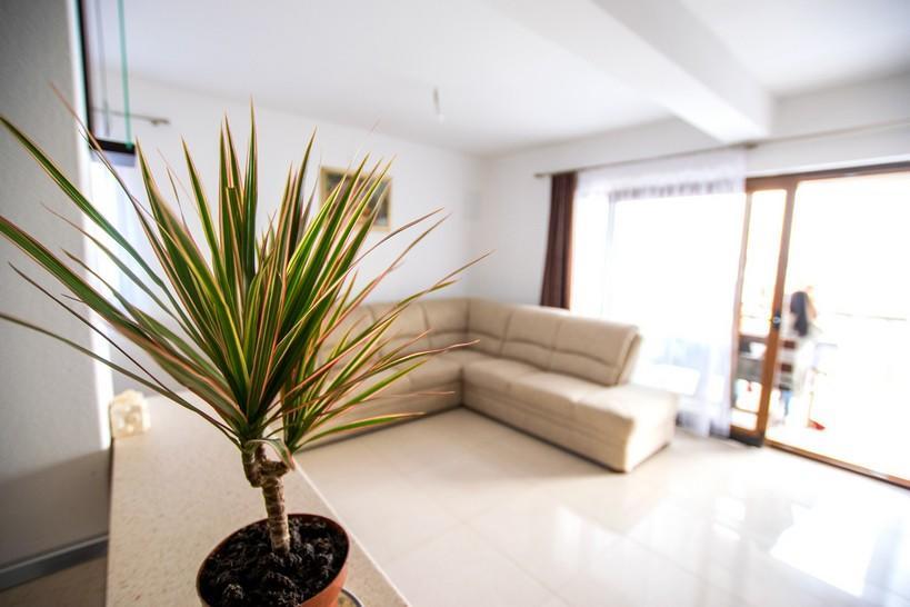 Apartment Andjela Starigrad Paklenica Bagian luar foto